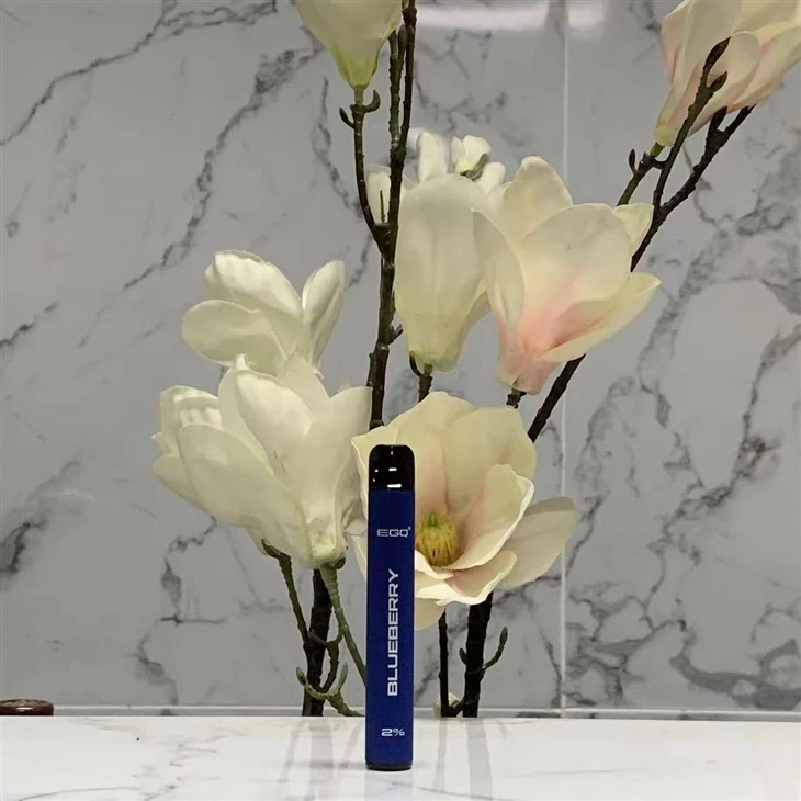 China Make E-Cigarette Vape Pen 600 Puffs