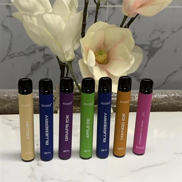 China Make E-Cigarette Vape Pen 600 Puffs